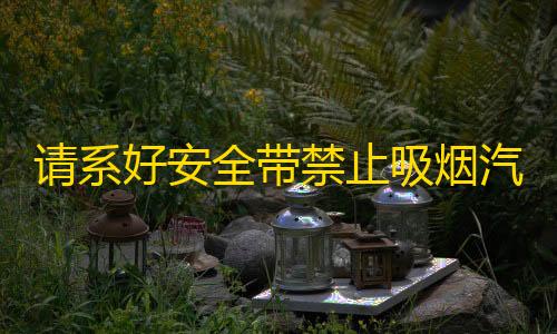 请系好安全带禁止吸烟汽车贴纸车内警示提示带随意创意装饰车贴纸